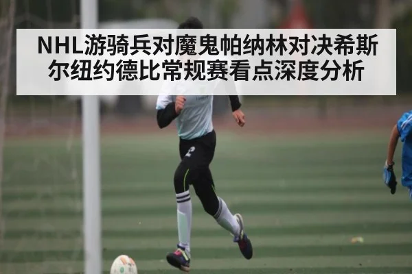 NHL游骑兵对魔鬼帕纳林对决希斯尔纽约德比常规赛看点深度分析